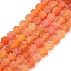 Natural Weathered Agate Beads Strands G-L534-07-10mm-2
