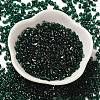 Spray Painted Glass Seed Beads SEED-F005-10A-01-2