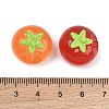 Luminous Resin Imitation Vegetable Cabochons RE-CBA8643-01-4