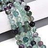 Natural Fluorite Beads Strands G-T140-19B-2