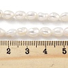 Natural Cultured Freshwater Pearl Beads Strands PEAR-P062-24B-5