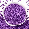 8/0 Baking Paint Glass Seed Beads SEED-M012-02A-40-2