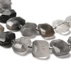 Natural Cloudy Quartz Beads Strands G-H078-B17-01-4