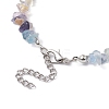 Natural Fluorite Chip Beaded Necklace NJEW-JN04615-11-5