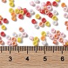 Baking Paint Glass Seed Beads SEED-S042-05A-07-4