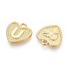 Alloy Pendants PALLOY-N157-001U-NR-2