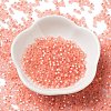 8/0 Glass Seed Beads SEED-Z001-C-E07-2