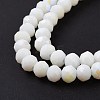 Electroplate Opaque Solid Color Glass Beads Strands LS-EGLA-A044-P3mm-L01-4