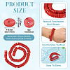 1 Strand Natural Freshwater Shell Beads Strands SHEL-TA0001-35C-4