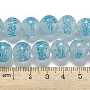 Handmade Lampwork Beads Strands LAMP-L079-05G-4