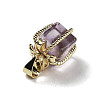 Natural Amethyst Gift Box Charms G-P523-01G-05-2