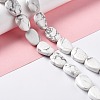 Natural Howlite Beads Strands G-M208-13-2