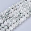 Natural Green Rutilated Quartz Beads Strands G-R475-013C-1