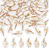 60Pcs 6 Styles Natural Cowrie Shell Pendants PALLOY-ME00013-1