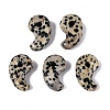 Natural Dalmatian Jasper Pendants G-S294-07B-13-1