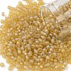 TOHO Round Seed Beads X-SEED-TR08-0162F-1