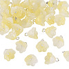 38Pcs Glass Charms GLAA-TADJ0001-19B-2