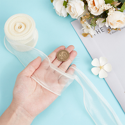 Polyester Organza Ribbons SRIB-WH20020-003B-01-1