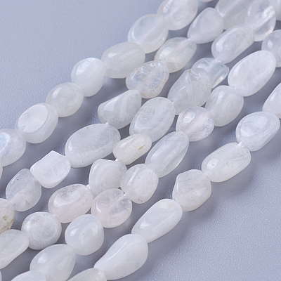 Natural Rainbow Moonstone Beads Strands X-G-P433-16-1