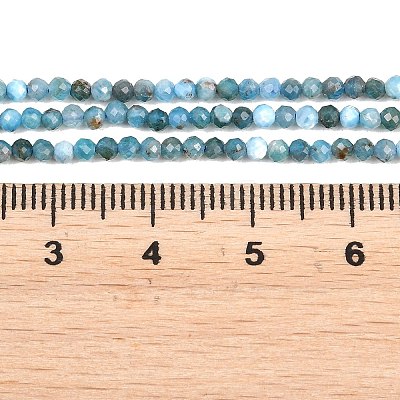 Natural Apatite Beads Strands G-RM250104-A2-1