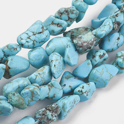 Natural Magnesite Beads Strands TURQ-G101-03-1