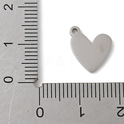 304 Stainless Steel Enamel Charms STAS-K312-05B-P-1