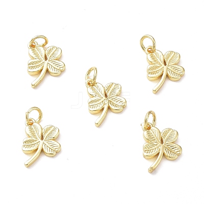 Rack Plating Brass Charms KK-F849-02G-1