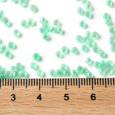 Glass Seed Beads SEED-S042-13A-11-1