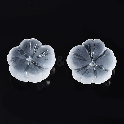 Transparent Frosted Glass Beads GLAA-Q089-003-B001-1
