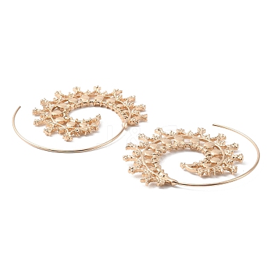 Alloy Spiral Vortex Dangle Earrings for Women EJEW-WH0011-49KCG-06-1