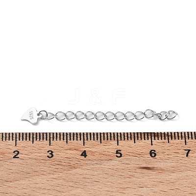 Rhodium Plated 925 Sterling Silver Chain Extenders STER-G036-19P-1