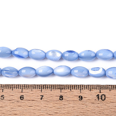 Natural Trochus Shell Beads Strands SHEL-K006-19-01A-1