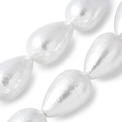 Electroplated Shell Pearl Beads Strands BSHE-F013-13-02-1