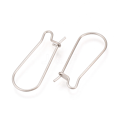 Tarnish Resistant 304 Stainless Steel Hoop Earrings Findings STAS-Q223-11C-1