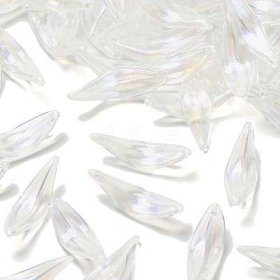 Transparent Acrylic Pendants MACR-K359-29-1