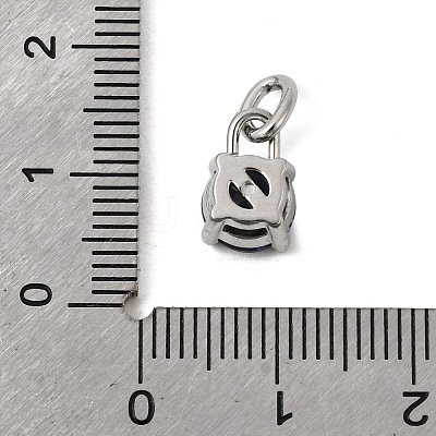 Birthdaystone Theme February 304 Stainless Steel Charms STAS-B128-60P-02-1