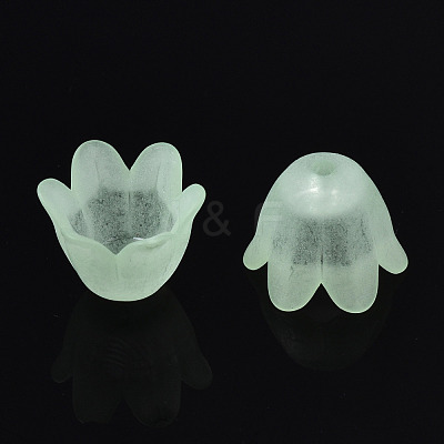 Transparent Acrylic Bead Caps FACR-N005-002C-1
