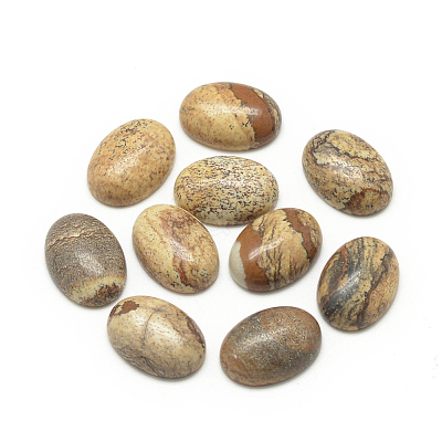 Natural Picture Jasper Cabochons X-G-R415-14x10-42-1