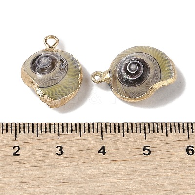 Natural Conch Pendant BSHE-H018-11G-1
