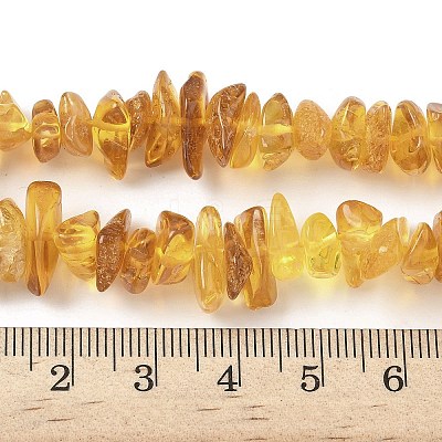 Natural Amber Beads Strands G-L095-D01-02-1