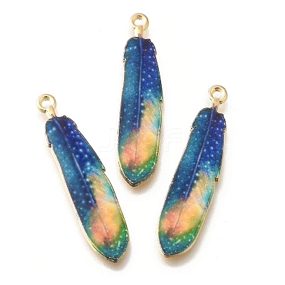 Alloy Enamel Pendants X-FIND-G078-34G-06-1