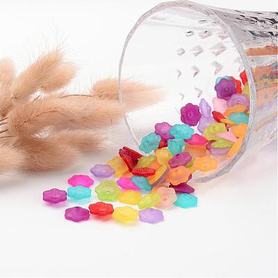 Mixed Frosted Flower Shaped Transparent Acrylic Bead Caps X-PAF087Y-1