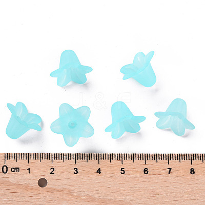 Transparent Acrylic Beads PLF018-13-1