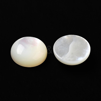 Natural White Shell Cabochons SSHEL-M022-01D-1