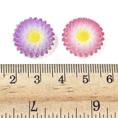 Printed Opaque Resin Decoden Cabochons CRES-B023-02-1