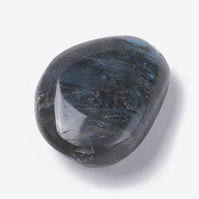 Natural Labradorite Beads G-E523-06A-1