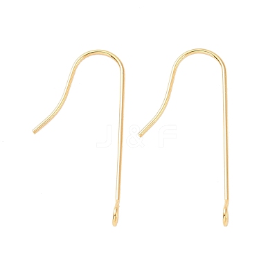 316 Surgical Stainless Steel Earring Hooks X-STAS-E027-01B-G-1