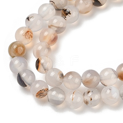 Natural Dendritic Agate Beads Strands G-A248-A07-01-1