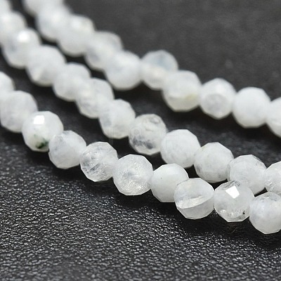 Natural Rainbow Moonstone Beads Strands X-G-O186-D02-1