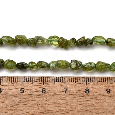Natural Peridot Beads Strands G-I389-A27-1